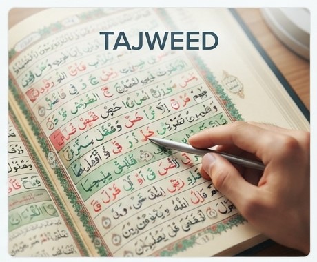 Tajweed course